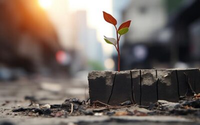 La naturaleza de las cosas: Aceptación